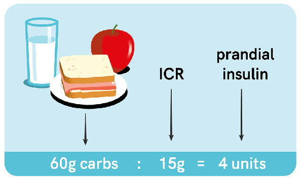 Balancing Carbs and Insulin: How to Calculate Your Ratio
