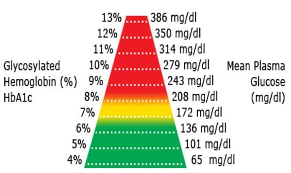 Understanding HbA1c: How It Relates to Your Blood Sugar Levels