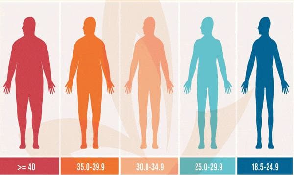 Body Mass Index (BMI) Calculator – Assess Your Weight & Health Status