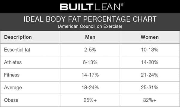 Body Fat Percentage Calculator – Measure Your Fat Levels Accurately