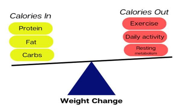 Calorie Deficit Calculator – How Many Calories Should You Cut to Lose Weight?