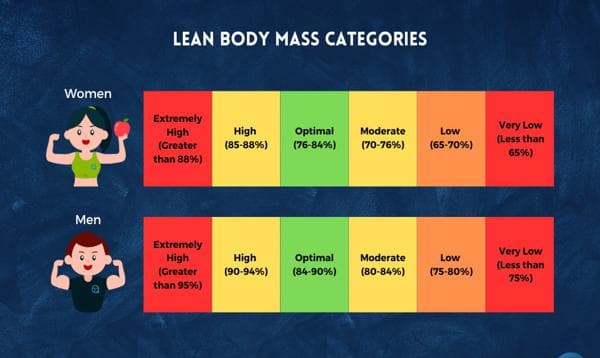 Lean Body Mass Calculator – Find Out Your Muscle Mass