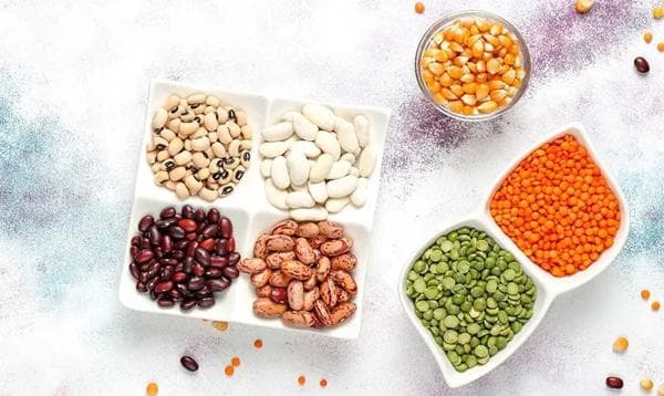 Protein Intake Calculator – How Much Protein Do You Really Need?