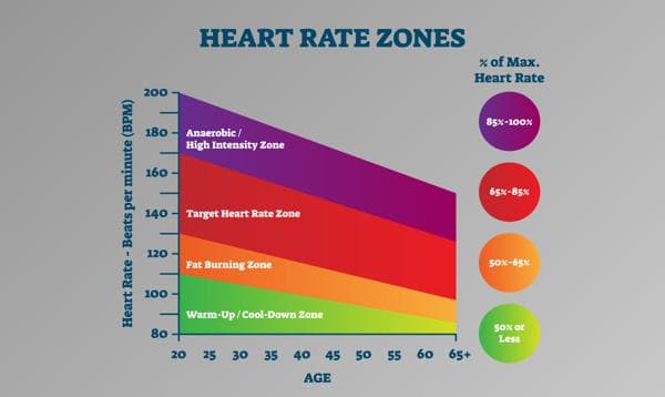 Target Heart Rate Calculator – Find Your Optimal Exercise Intensity