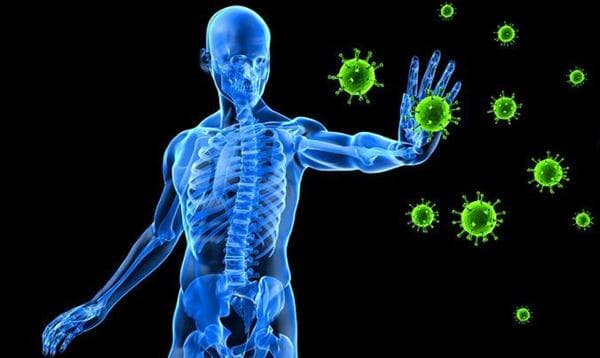 Strengthening Your Immune System Naturally