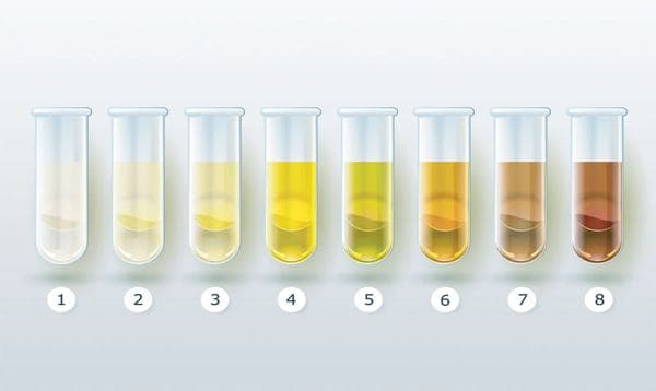 Hydration Status: How to Know If You’re Drinking Enough Water