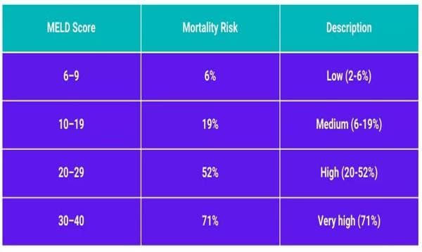 MELD Score Explained: Assessing Liver Disease Severity