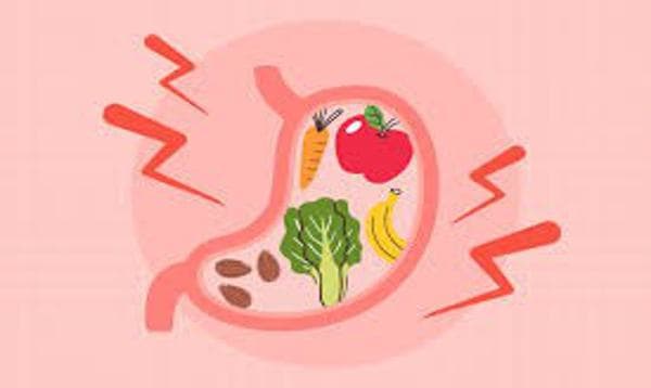 Fiber Intake Calculator – Are You Getting Enough Dietary Fiber?