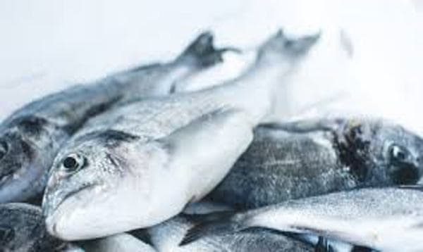 Omega-3 Dosage Calculator – How Much Do You Need for Optimal Health?
